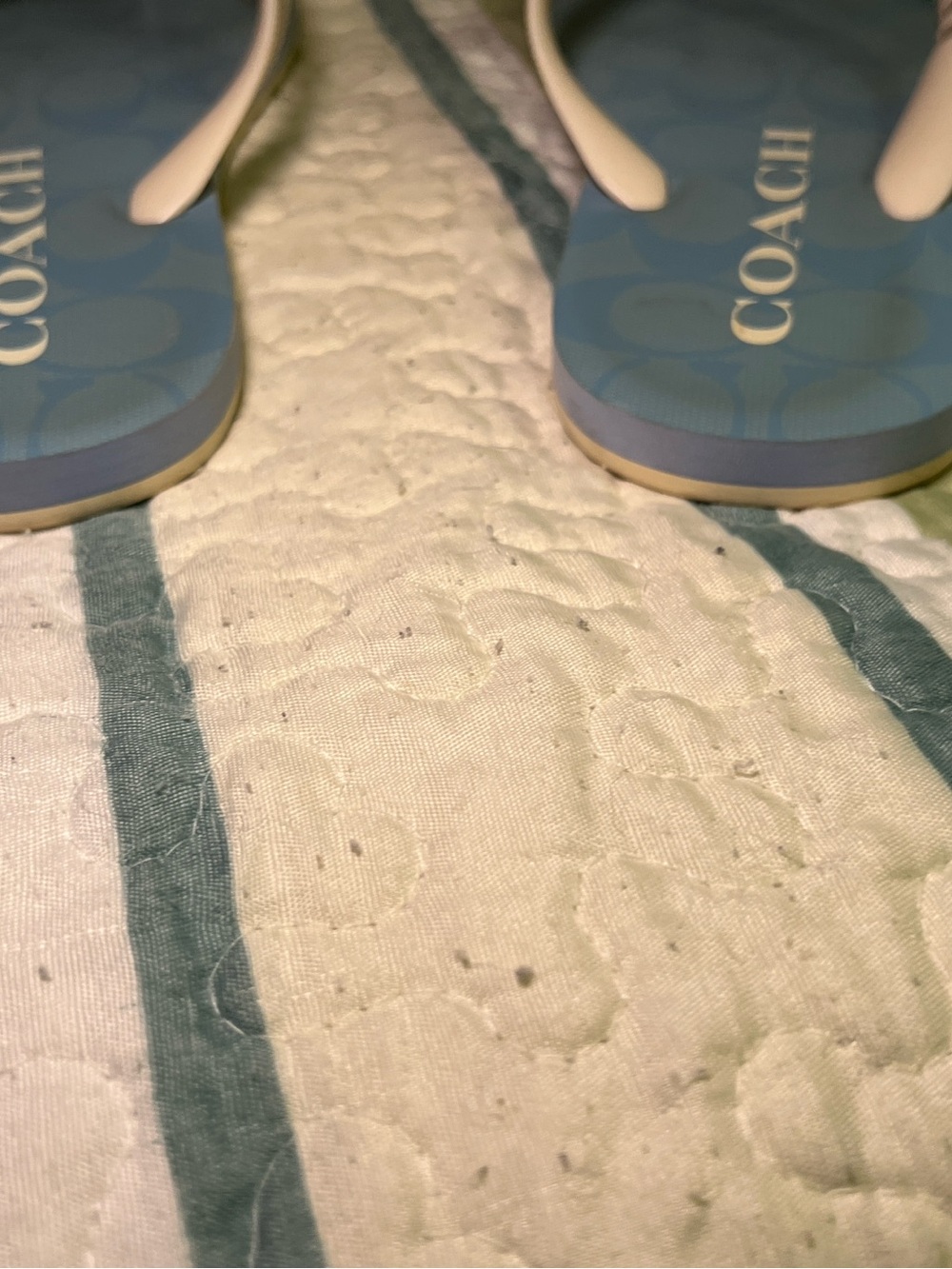 Coach Light Blue Zac Signature Logo Flip Flops with Cream Straps - Picture 3 of 6